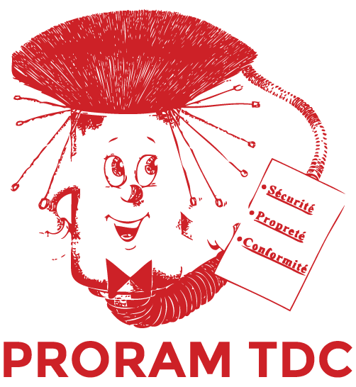 PRORAM TDC